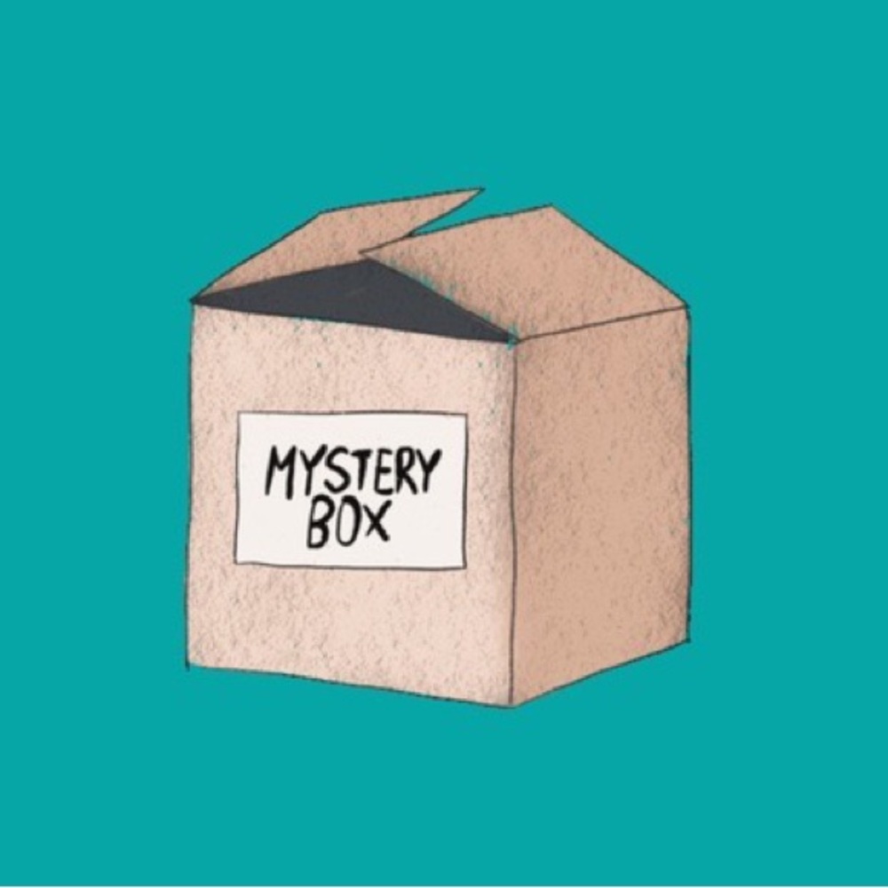 Plus size mystery box 2 $150 value+